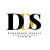 dds logo (FINAL)